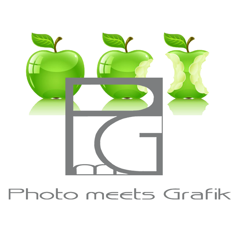 Logo NEU 2016 freigestellt grau